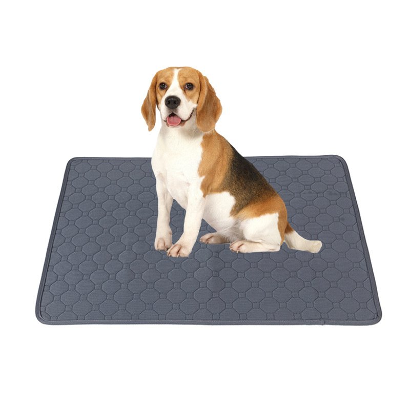Pet Parents Washable Reusable Dog Pee Pads - Image 2